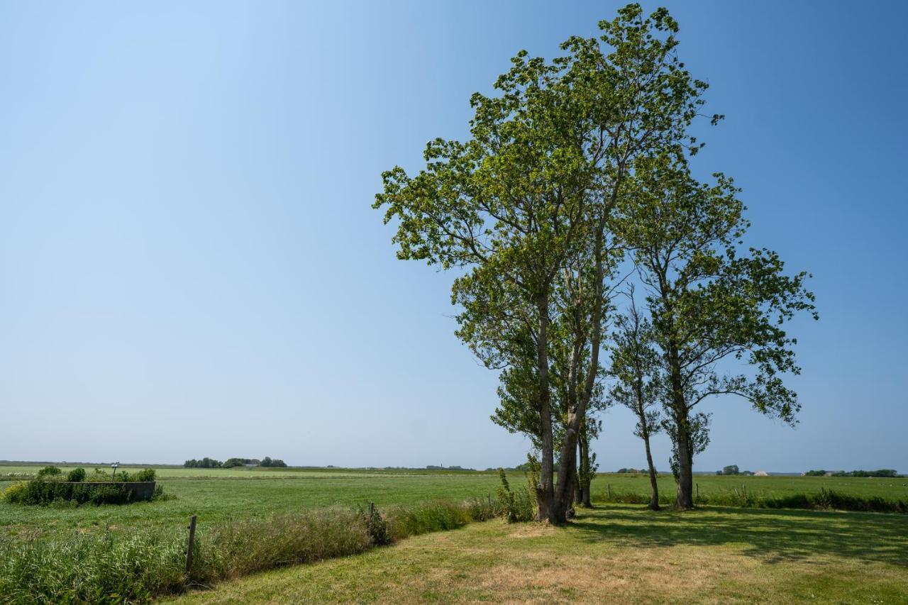 Johanneshoeve - De Mooiste Plek Op Texel Den Hoorn  Kültér fotó