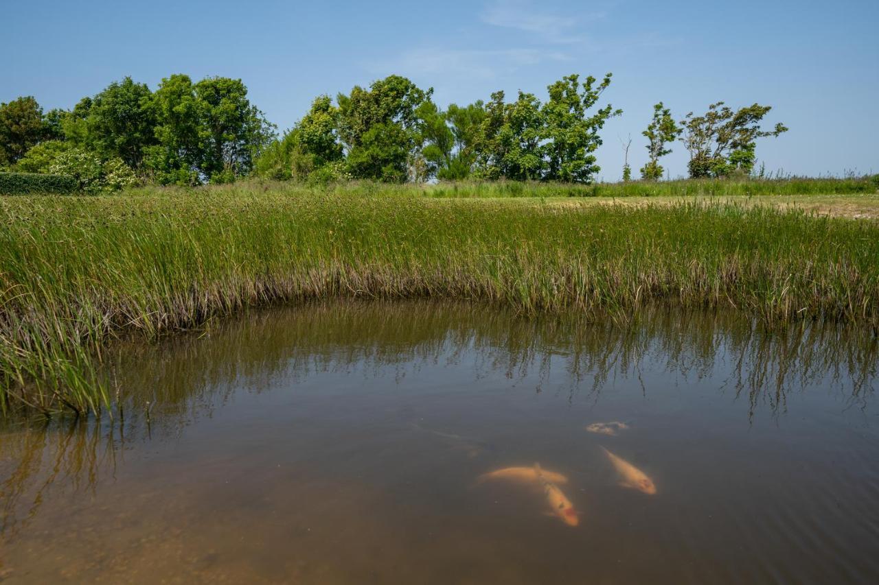 Johanneshoeve - De Mooiste Plek Op Texel Den Hoorn  Kültér fotó